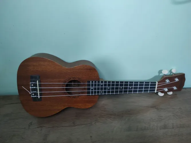 UKULELE SPRING
