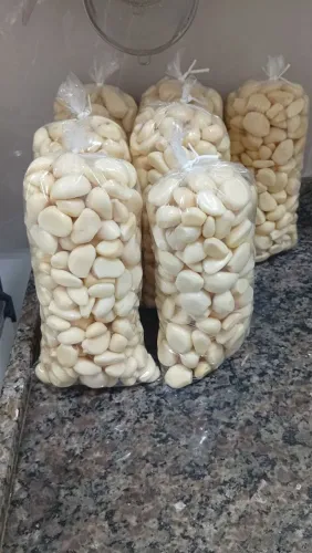 Alho Jr de Araújo