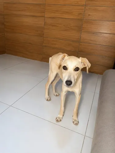 Cabela precisando do seu amor ? Fassa a diferença 