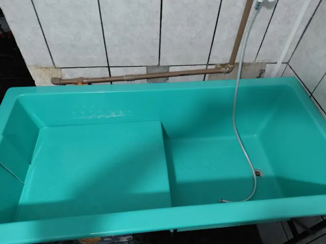 Banheira grande para da banho em cachorro