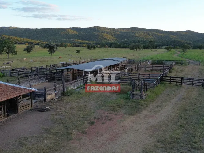 Fazenda 60 Alqueires (290,4 Hectares) Diorama - GO