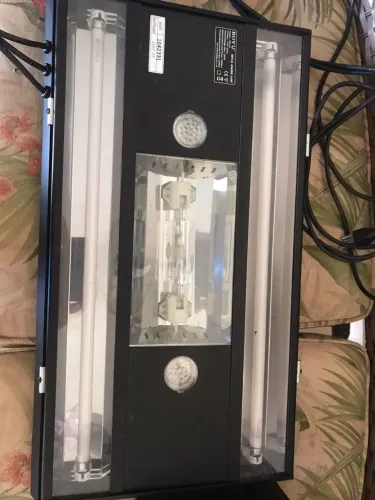 Luz de aquário