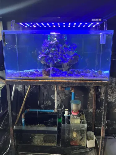 Aquário marinho 250 litros