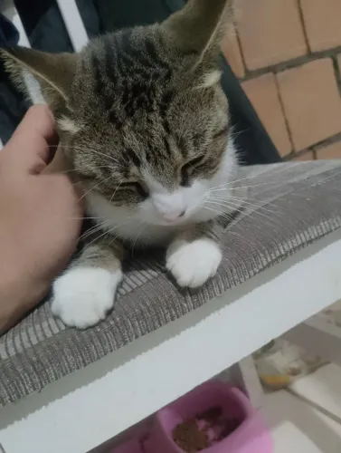 Doação 