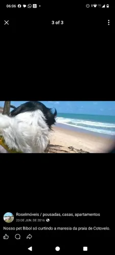 Terreno em Pium, perto da Praa de Cotovelo.