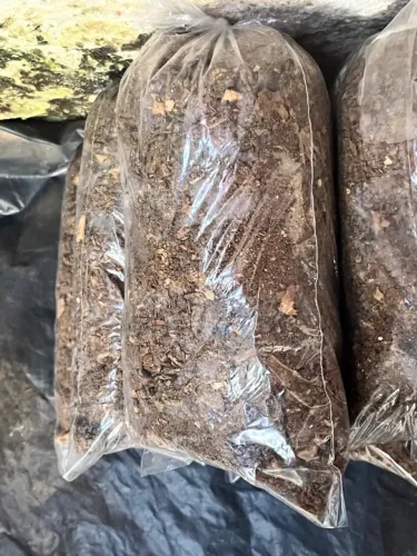 Adubo de galinha 100% orgânico