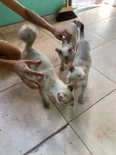Doação 