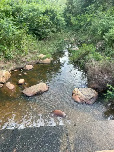 Terreno com rio
