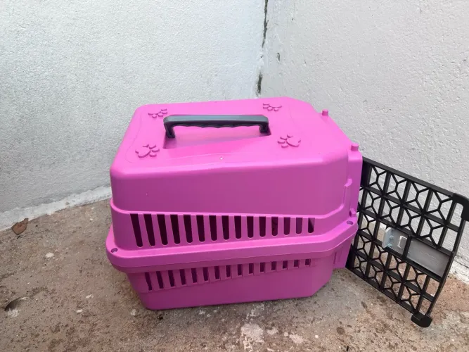 Casinha de transporte de pet