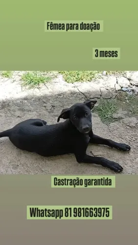 Cadela