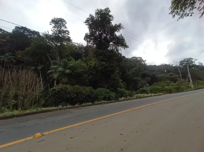TERRENO PARA COMPENSAÇÃO A VENDA EM JARAGUÁ DO SUL