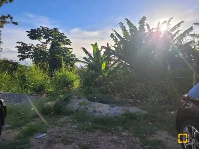 Terreno localizado na Agronômica com vista mar