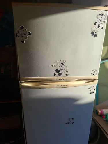 Geladeira Electrolux Double DC 360 (usada funcionando )