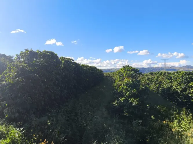 sitio em monte santo de minas 5.41 alqueires 5.000.000.00   ( ma )