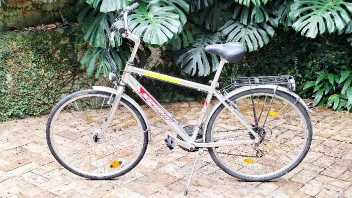 Bicicleta urbana