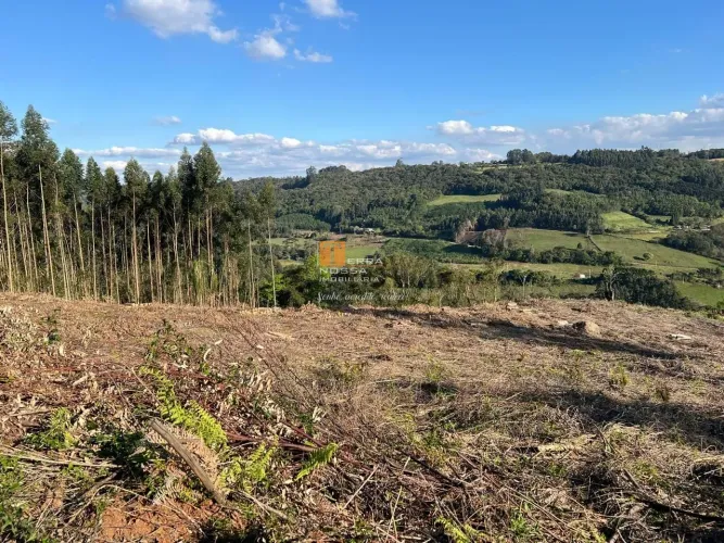 Venda - Chácaras - Área Rural - Nova Petrópolis - RS