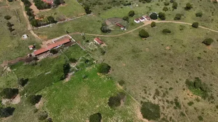 fazenda com 270 hectares na região de Bom jesus excelente para criação de gado e plantação