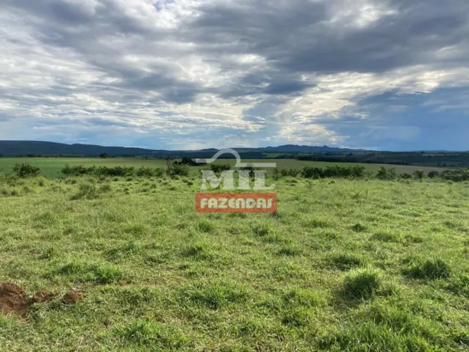 Fazenda em Doverlândia - GO - 145 Alq. (702 Há).
