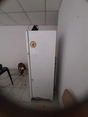 Geladeira Eletrolux 2 portas gelo seco. Usada, funcionando prrfeitamente
