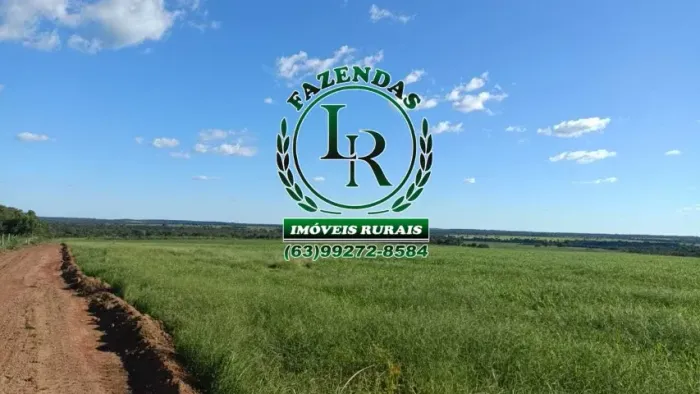 Fazenda 377 Hectares Plantando Vale do Araguaia