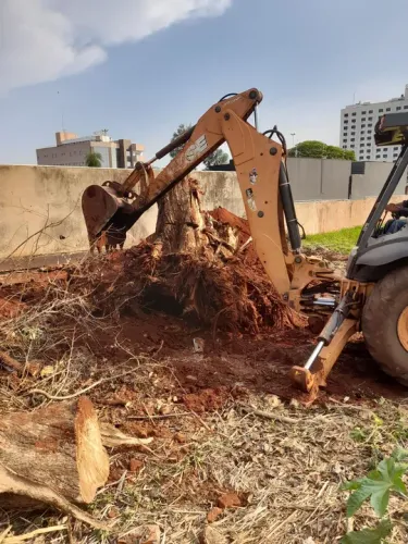 Limpeza de terreno