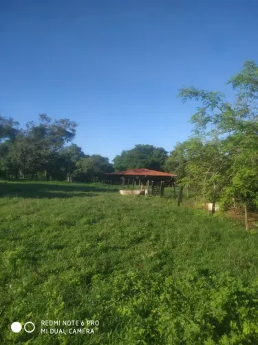 Fazenda de 90 hequitares a 55 km de moc