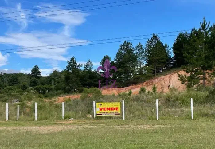 Área Industrial com excelente testada para a BR 116 - Sentido SP