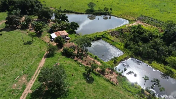 CHÁCARA DE 10 ALQUEIRES EM HEITORAI