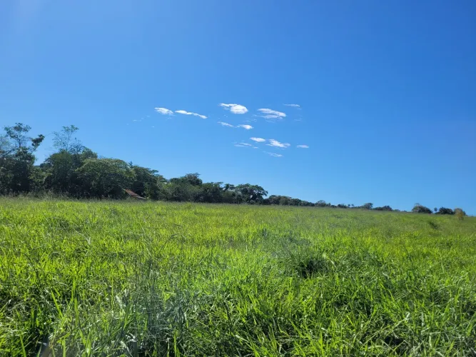 Área em Coxim, venda ou arrendamento.