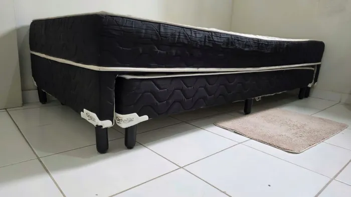 Bicama Viúvo
