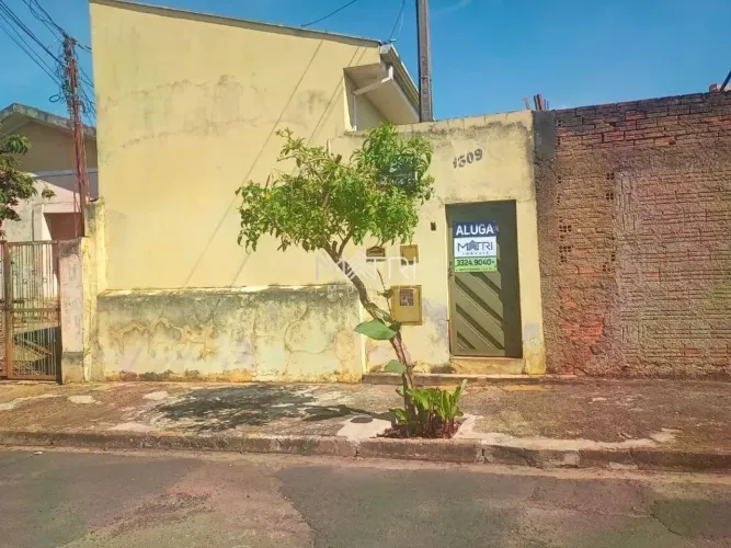 Locação de Casas / Edícula na cidade de Araraquara