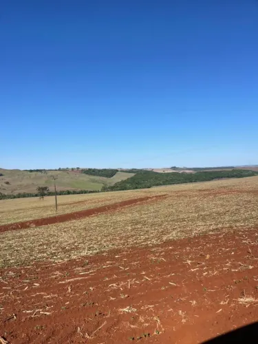 Fazenda Londrina -Pr