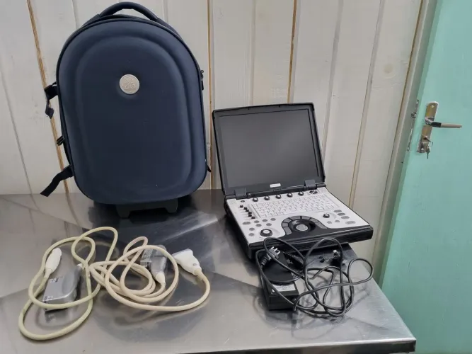 Ultrassom veterinario GE Logiq E