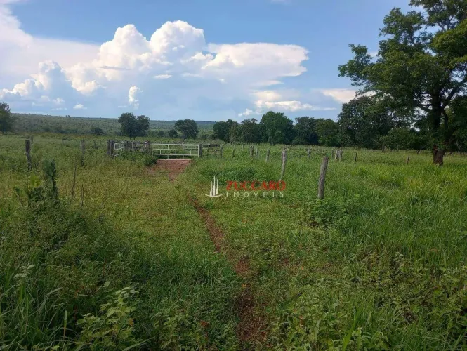 Fazenda à venda, 1936000 m² por R$ 6.415.000,00 - Centro - Santa Rita do Pardo/MS