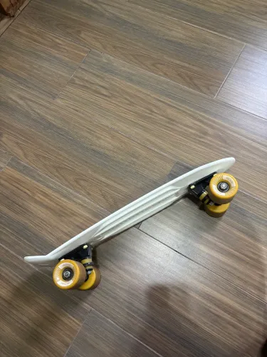 Mini long Skate 
