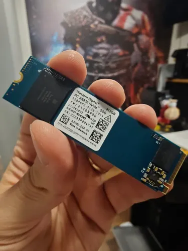 SSD NVMe (SDBPNPZ-512G).