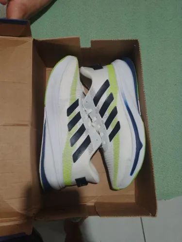 Tenis