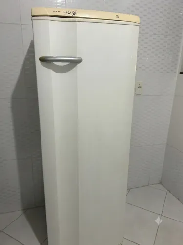 Geladeira Electrolux RDE31 - 310 litros