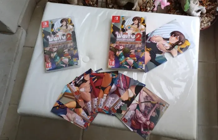 Jogo Waifu Discovered 2 Medieval Fantasy Switch, Nave, Shmup