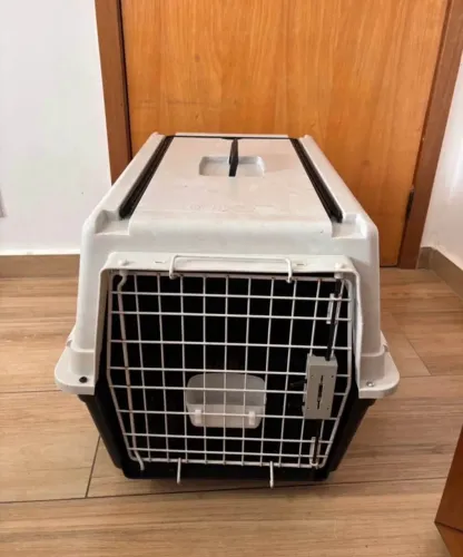 Caixa de Transporte pra Pet