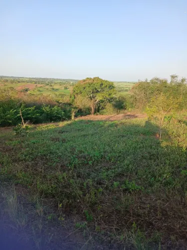 Ll Terreno sitio a 10 minutos da cidade de sapé pb