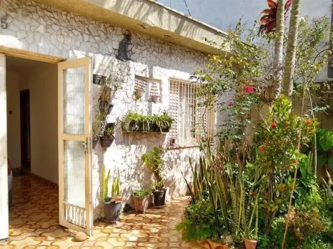 Casa - São Paulo - SP - Vila Carrão