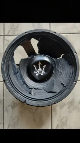 Alto Falante 15 P 150 RMS 8 OHMS
