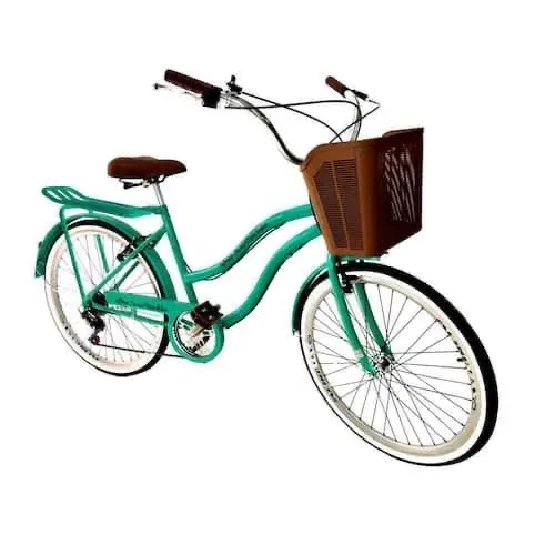 Bicicleta Vintage
