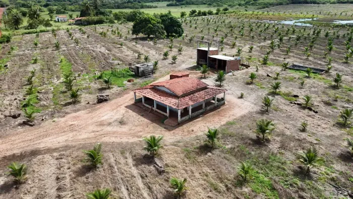 fazenda com 27 hectares plantada de coqueiros com 4 mil pés plantados de porteira fechad
