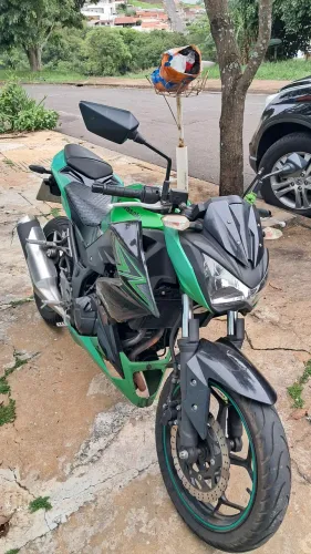 Z300 original