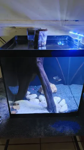 Aquário de 30L