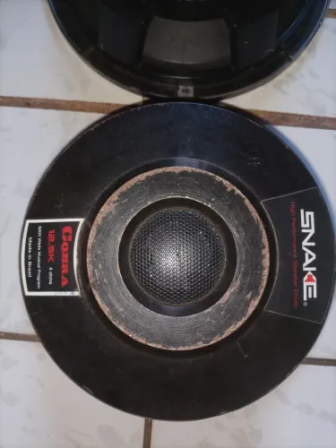Vendo 2 alto-falante snake