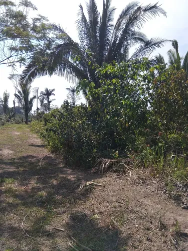 Chácara estrada dos periquitos 50x100