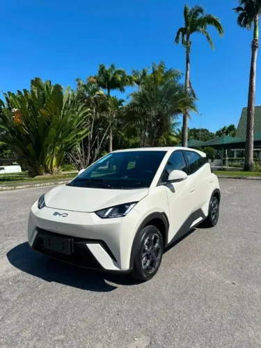 BYD Dolphin Mini (Elétrico) 2024